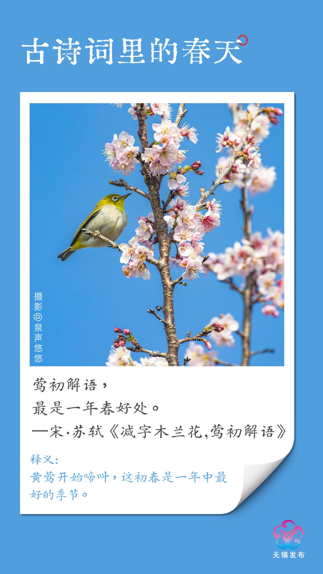 春天，早被古人写明白了！