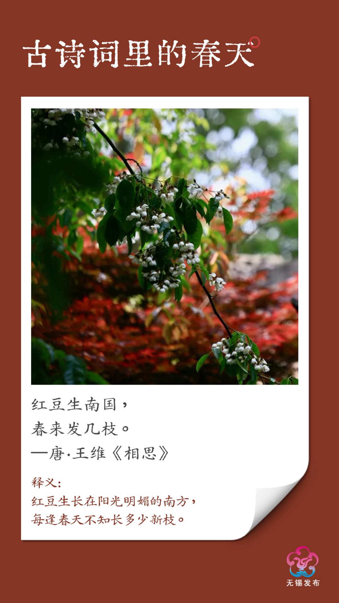 春天，早被古人写明白了！