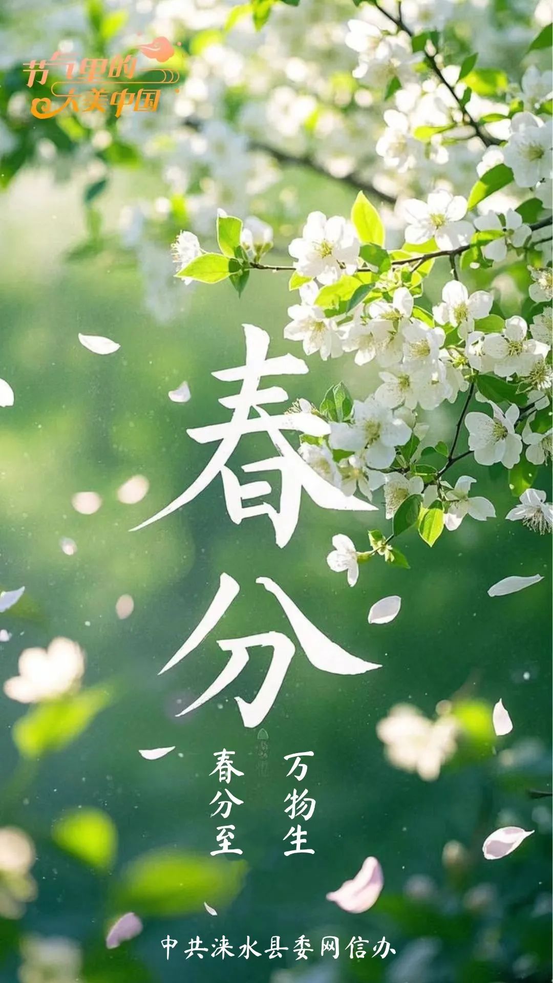 【节气里的大美中国】原创海报 今日春分
