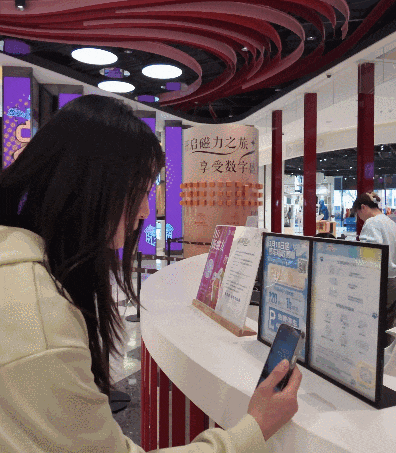 小柯基肉圆的滨港·今潮8弄萌游记，宠物友好新体验