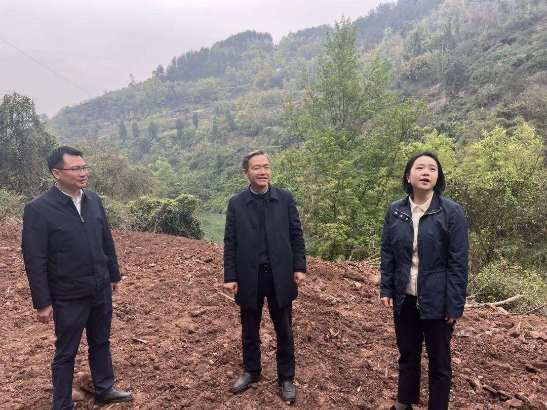 4月2日,綦江区委常委,区委办公室主任,羊渡河区级河长蔡鹏带队到羊