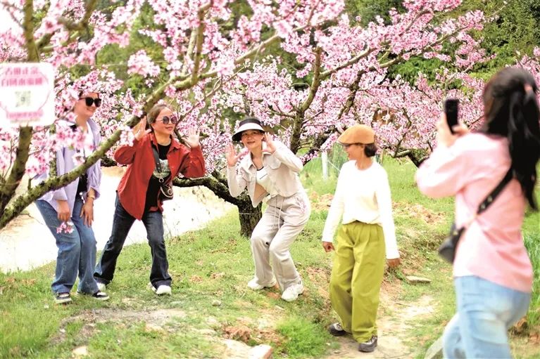 千亩桃园经典网页版传奇 共赴春日之约