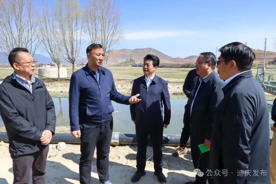 迪庆州州长张卫东到香格里拉市调研纳帕海水质提升攻坚工作