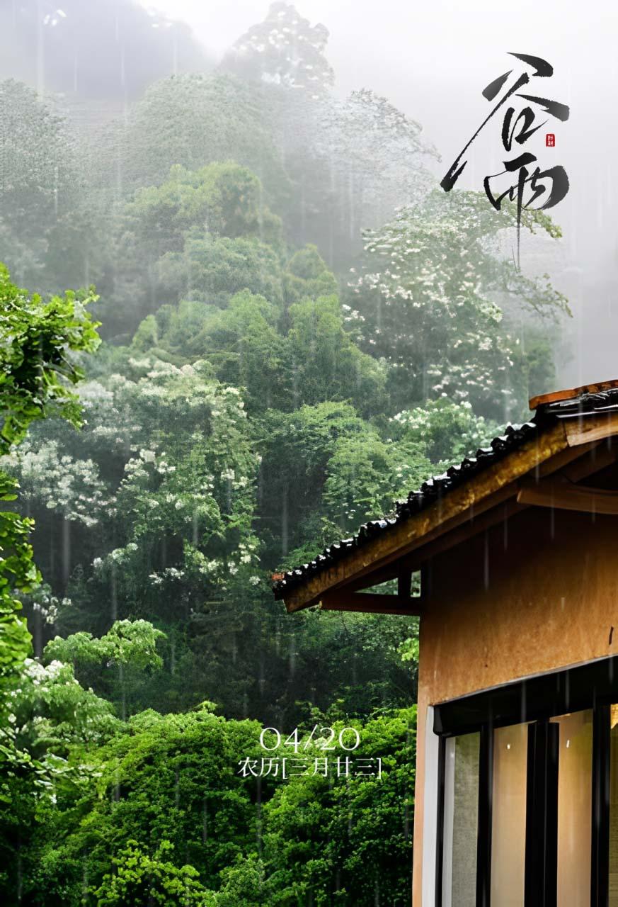 二十四节气丨谷雨春光晓,山川黛色青_澎湃号·政务_澎湃新闻-The Paper