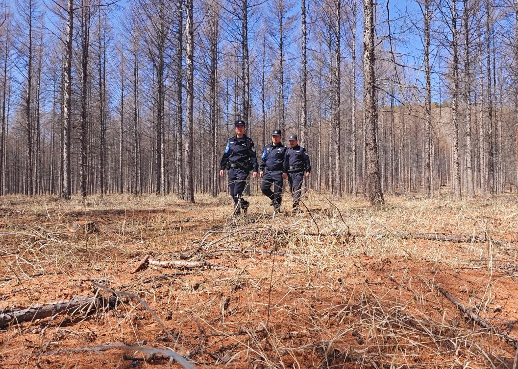 森林公安派出所五一期间十二时辰