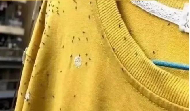 注意！近期少穿这种颜色的衣服出门