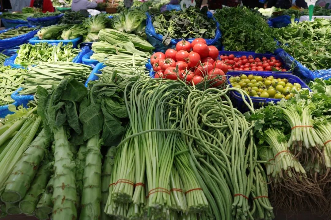 菜市场的菜是从哪批发的