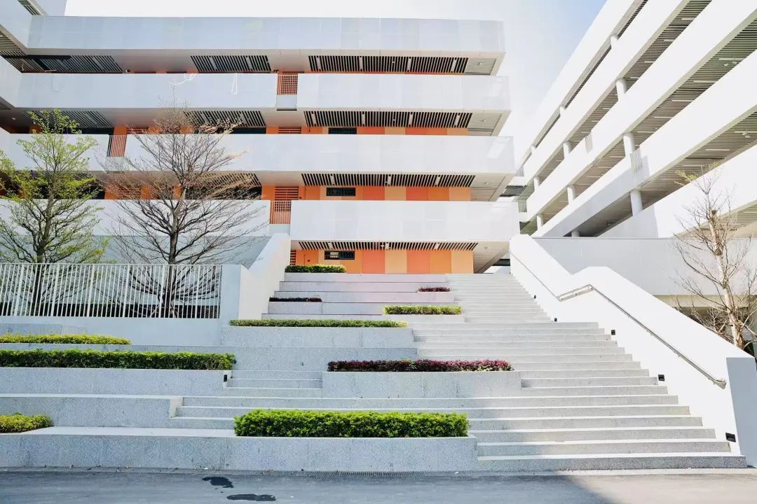 东莞东城大大幼儿园_东莞松山湖第一初级中学_东城街道九年一贯制学校