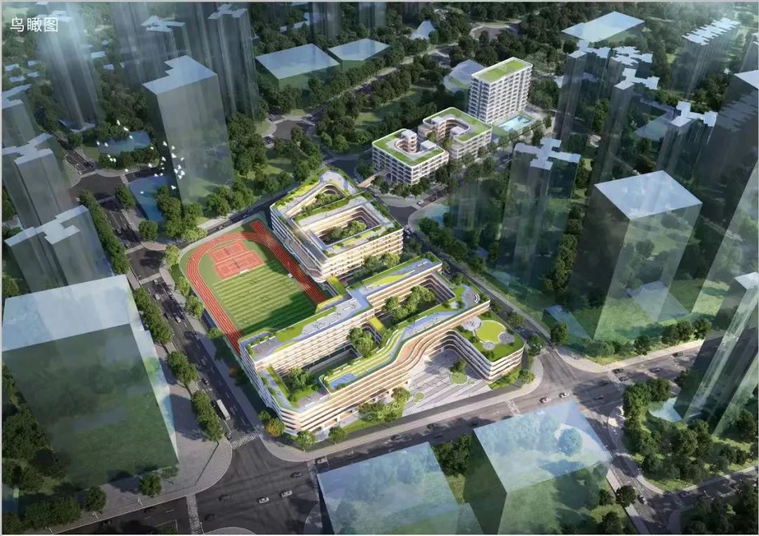东城街道九年一贯制学校_东莞东城大大幼儿园_东莞松山湖第一初级中学