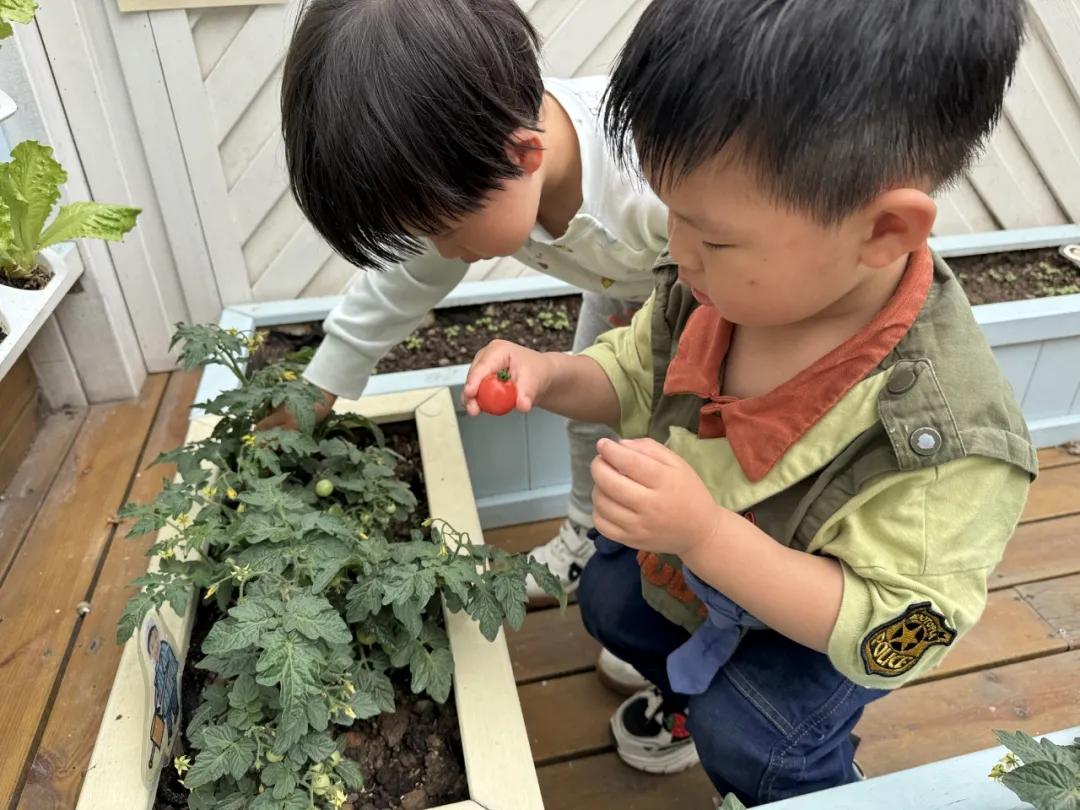 托幼一体化建设_黄浦区普惠托育服务_浦东金桥幼儿园