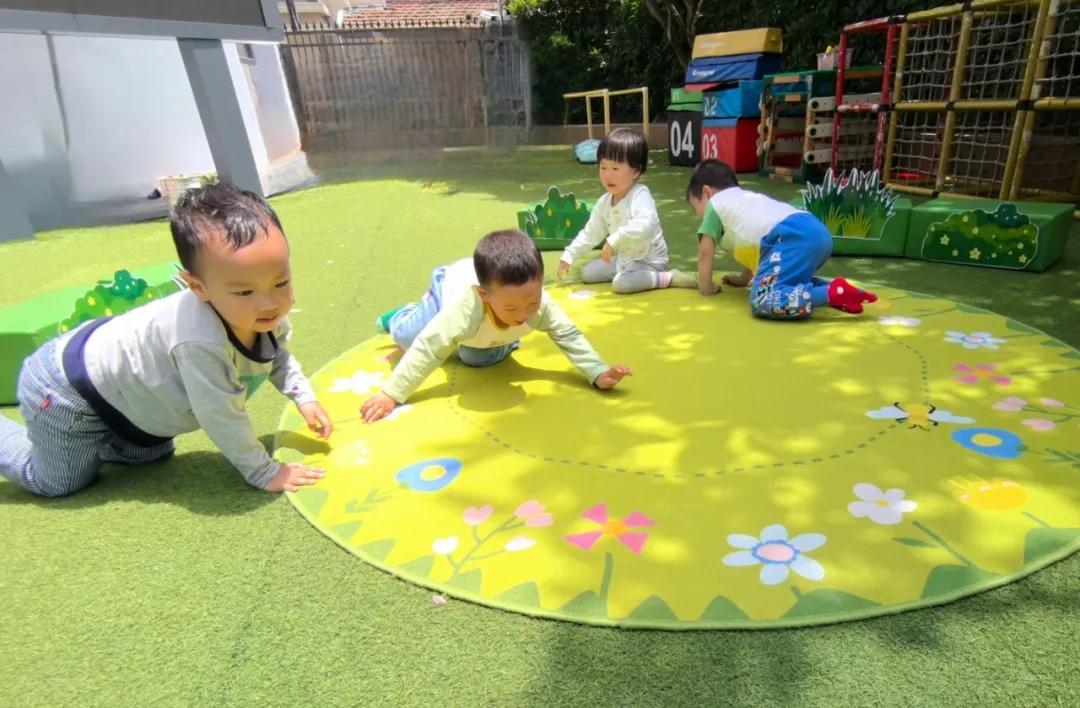托幼一体化建设_黄浦区普惠托育服务_浦东金桥幼儿园