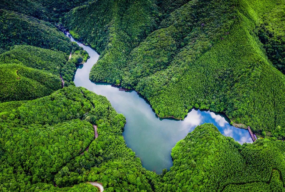 赣州文旅 新活力 青山绿水相关图片2