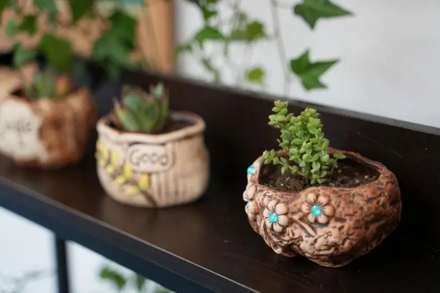 老干部病房_安宁疗护 患者关怀 生命尊严