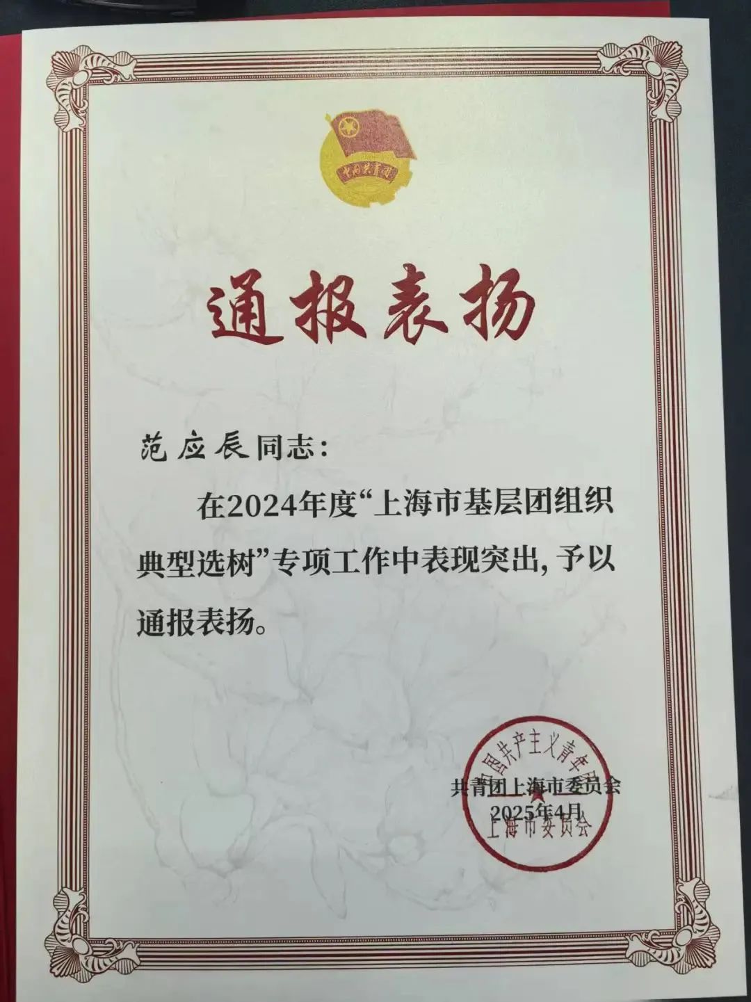 喜报!这家单位获2024年度上海市基层团组织典型选树通报表扬