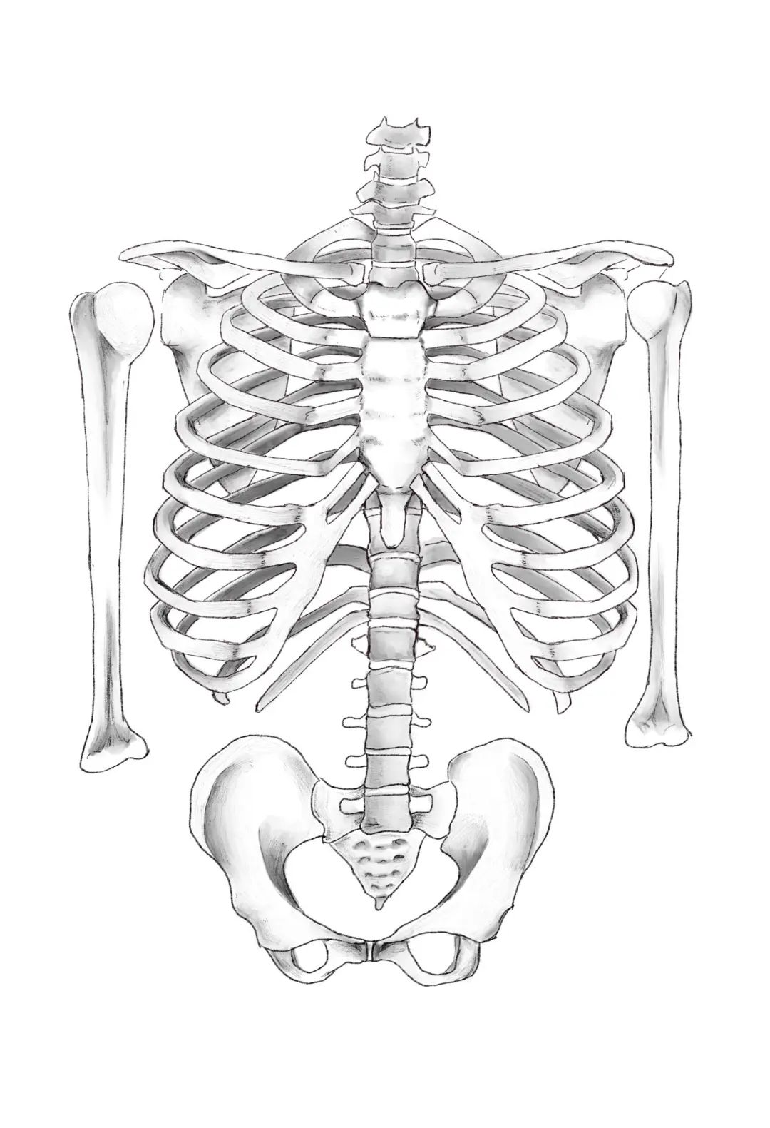 当医学生拿起画笔.网友:果然人均艺术家!