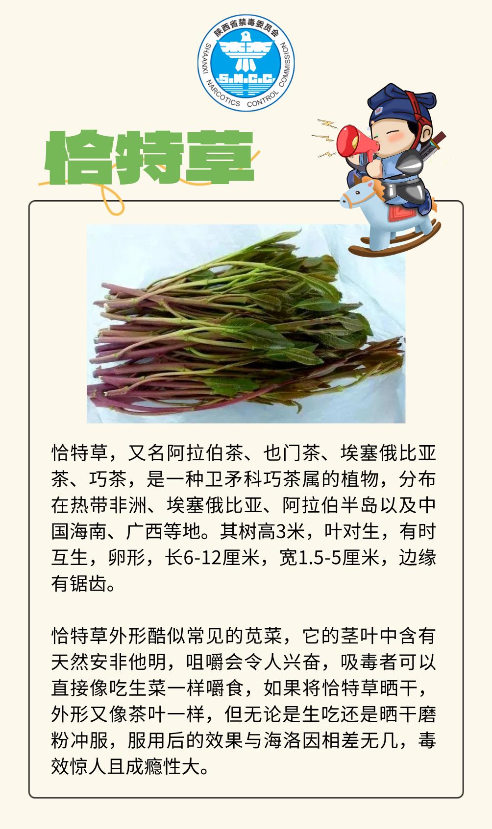 过端午,避“五毒”!还有这些“毒物”要当心→_澎湃号·政务_澎湃新闻-The Paper