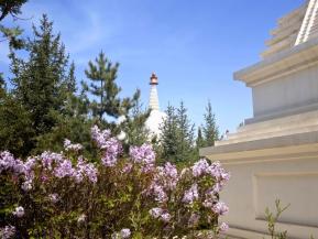 【助力文旅“她”力量】相约凉州会盟纪念馆，乐享夏日好风光！_澎湃号·政务_澎湃新闻-The Paper