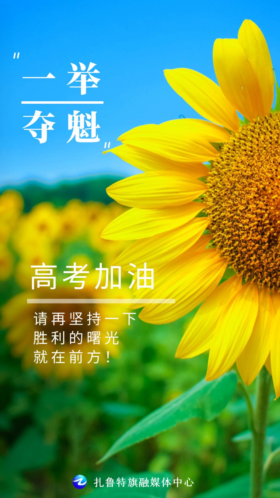 高考倒计时！生物冲刺计划，每天任务的简单介绍