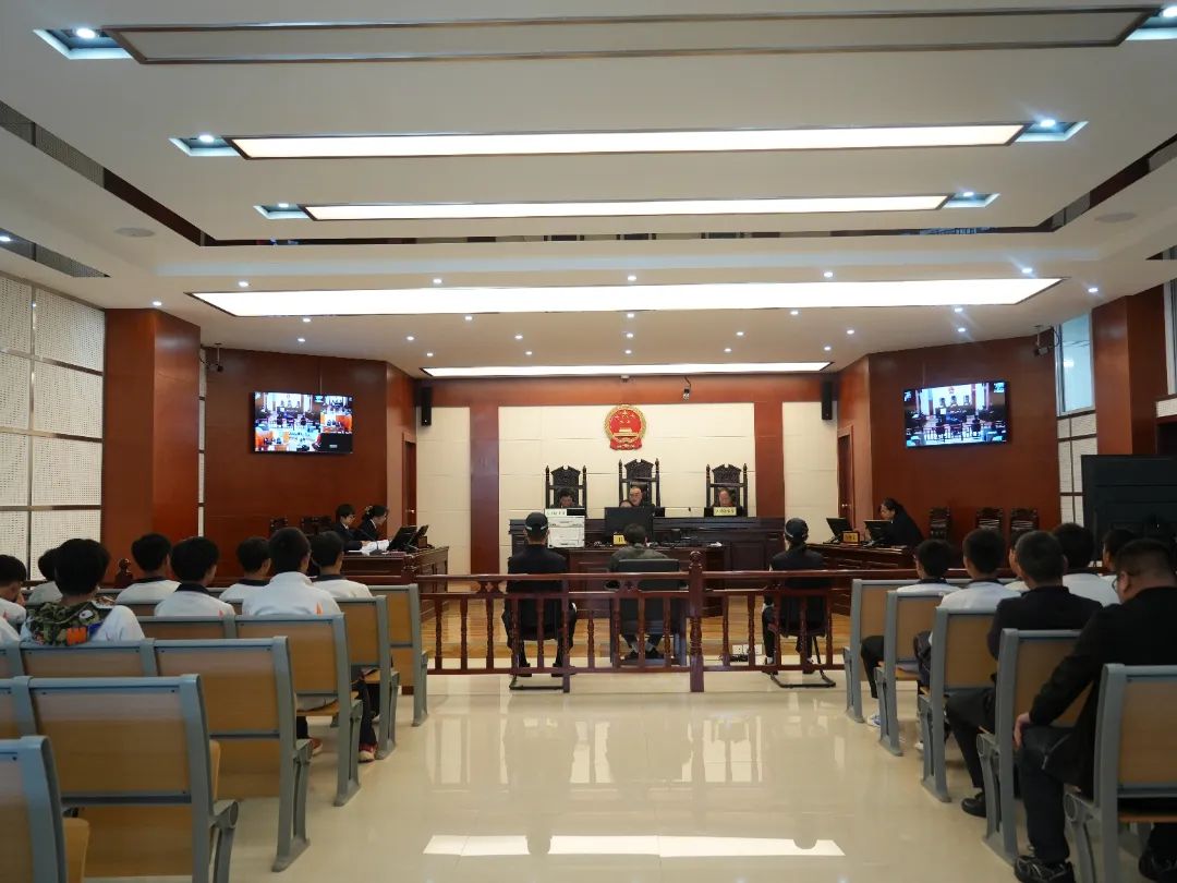 法院开放日|这个六月,共赴一场“法治之约”_澎湃号·政务_澎湃新闻-The Paper