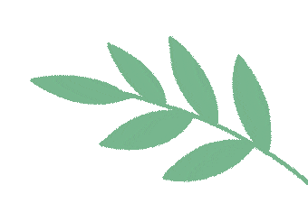 山西省2025年初中學(xué)業(yè)水平考試時(shí)間安排_(tái)山西招生考試官方網(wǎng)站_山西省2025年初三中考考試提示
