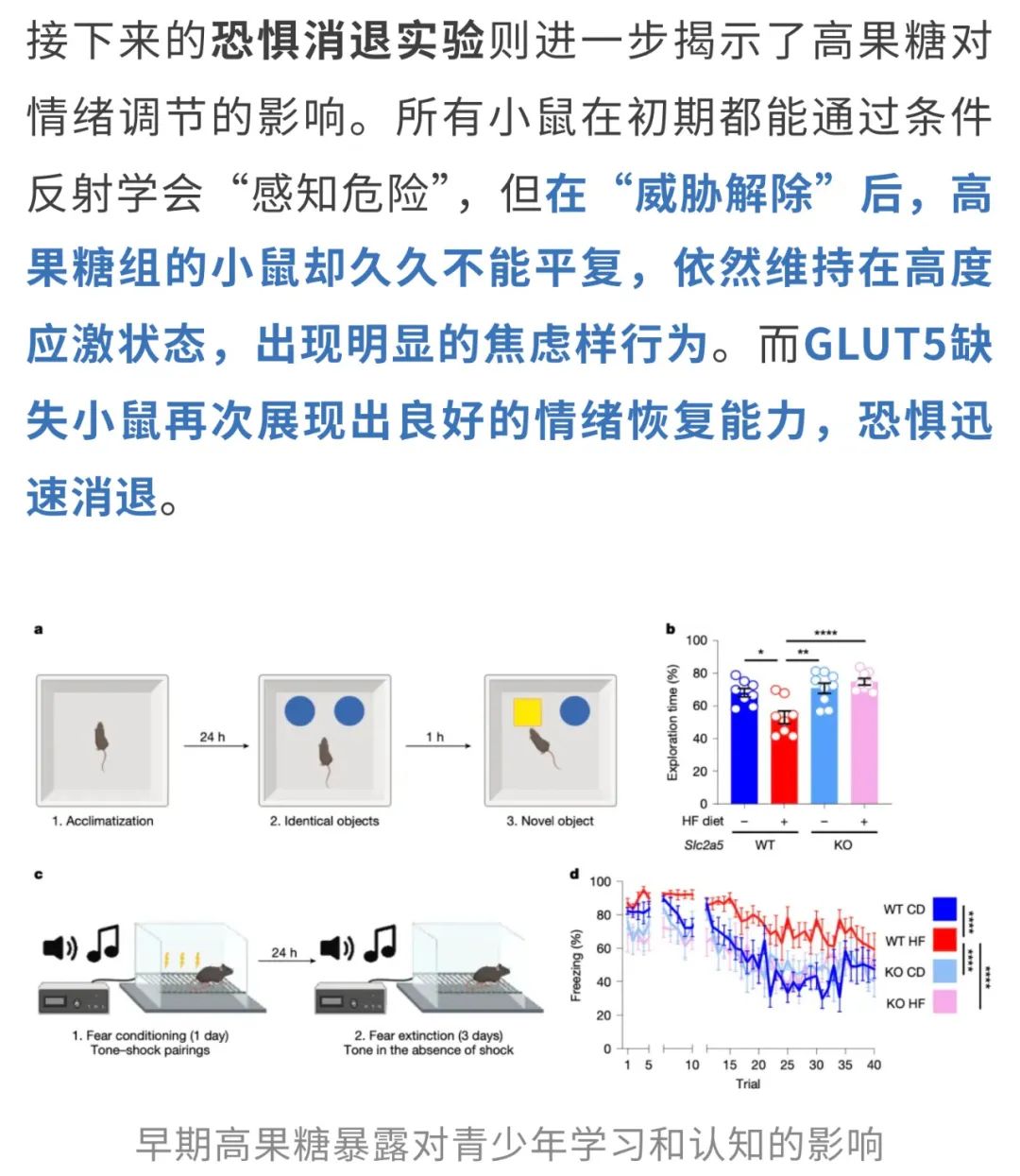 奶茶不仅促癌，还增加焦虑风险？Nature：早期摄入高果糖，大脑发育遭重创