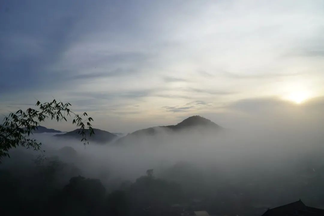 【茶香西双版纳】古茶山一二三产融合发展——巴达古茶山：生态为底 文化为魂