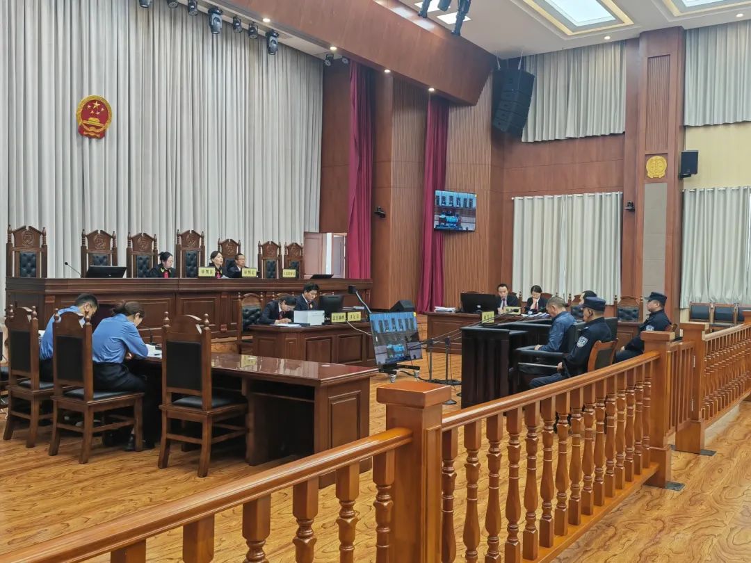 庭审观摩砺精兵