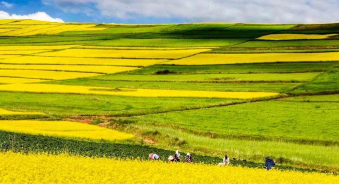 丝路涌“新”潮 乡村兴“旺”景——甘肃文旅消费长假再掀热潮