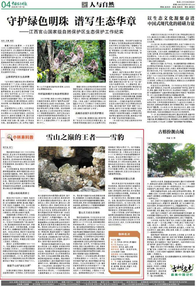 雪豹文章版迅雷下载_雪豹栖息地分布_雪豹保护级别