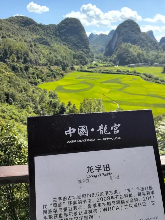 它是贵州的“精华”所在！避暑和小吃都是满分！今夏，就来21℃的安顺打卡~