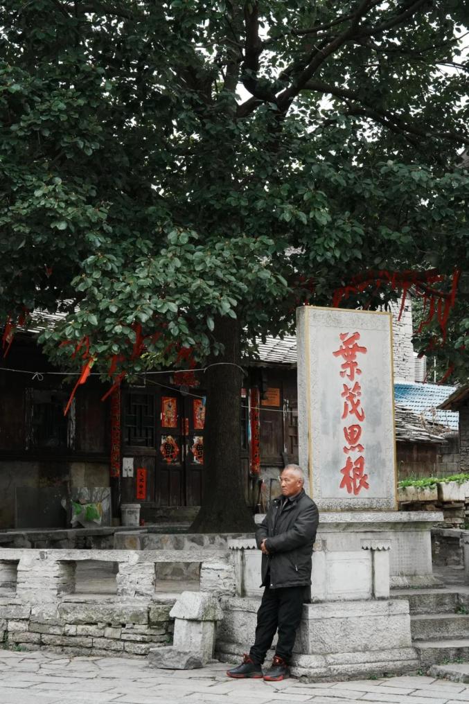 它是贵州的“精华”所在！避暑和小吃都是满分！今夏，就来21℃的安顺打卡~