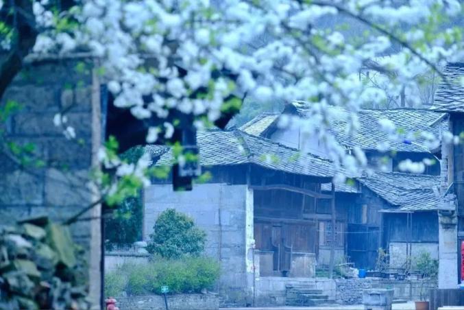它是贵州的“精华”所在！避暑和小吃都是满分！今夏，就来21℃的安顺打卡~