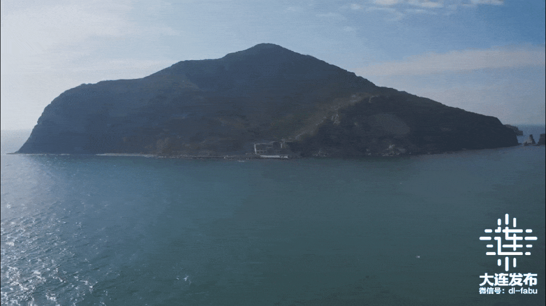 大连这个小岛，为何是世界遗产？