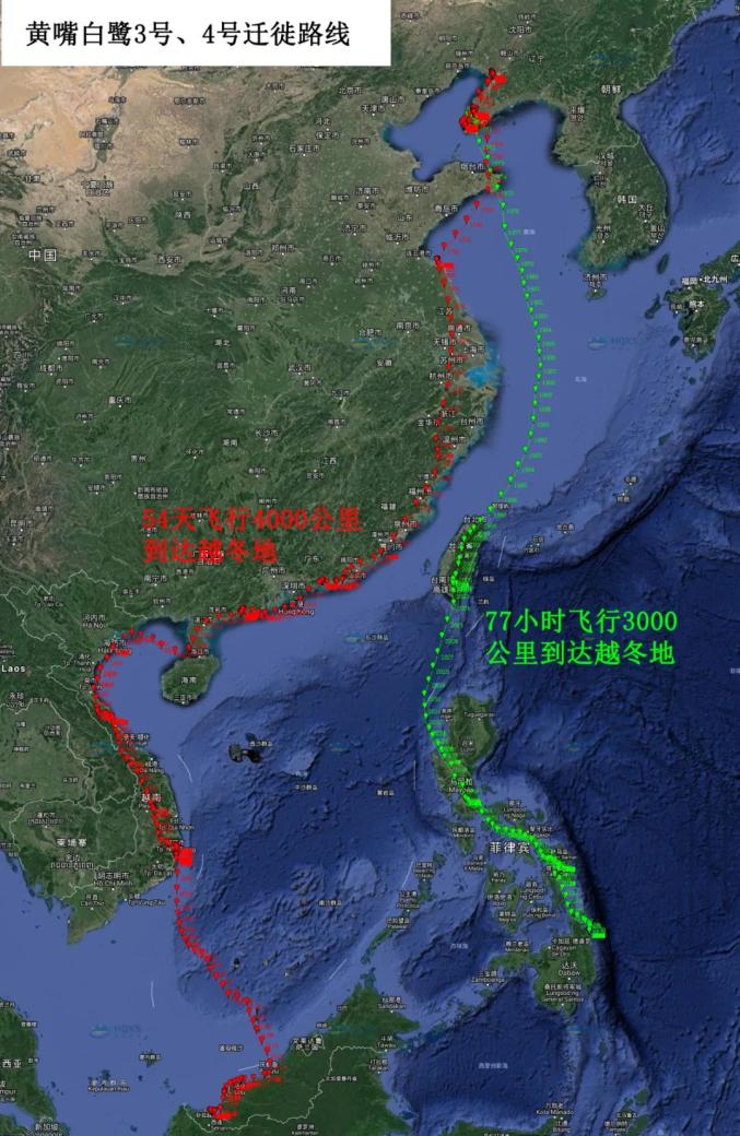 大连这个小岛，为何是世界遗产？
