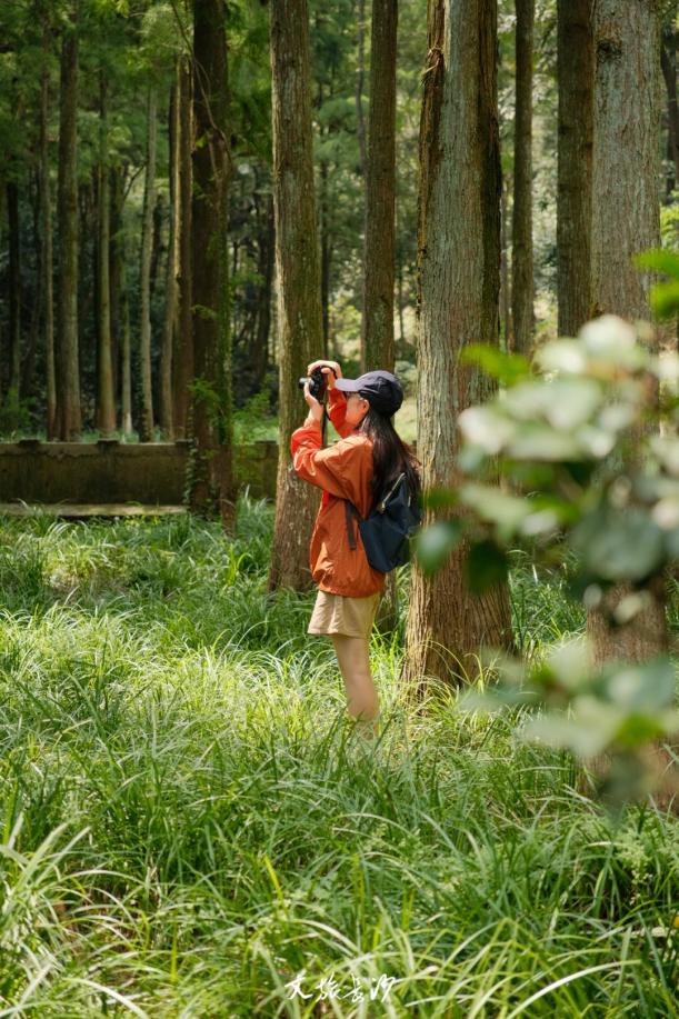《长 沙 暑 假 游 玩 灵 感 指 南》