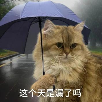 雨!好大的雨!预警升级!