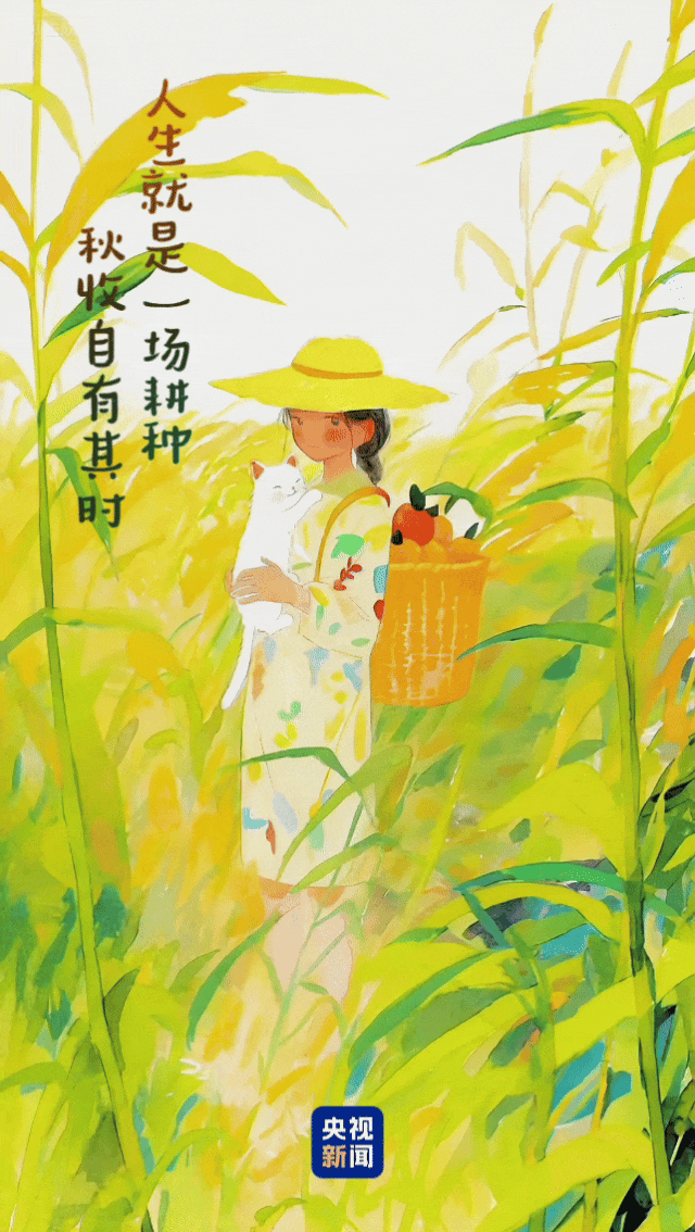 秋天愿你我向阳而生所念皆安文字丨央视新闻《夜读》整编图丨小红书