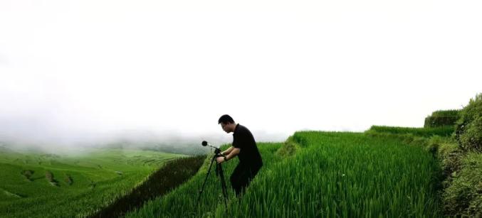 登上央视！重大团队用自然声音疗愈心灵