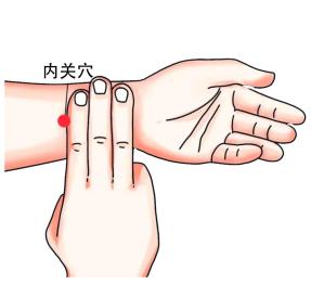 内关穴+茯苓：养心安神“黄金搭档”