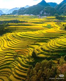 不只观光!与你在秋季深度玩转龙里这座“多景小县”