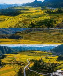 不只观光！与你在秋季深度玩转龙里这座“多景小县”