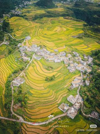不只观光!与你在秋季深度玩转龙里这座“多景小县”