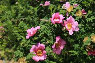 不只观光！与你在秋季深度玩转龙里这座“多景小县”