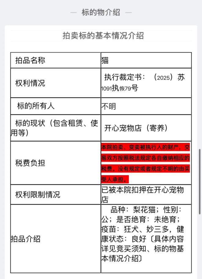 什么情况可以申请法拍 896.jpg