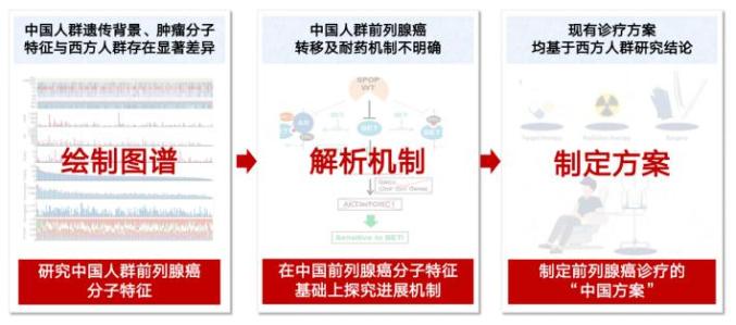 什么是基因图谱 544.jpg