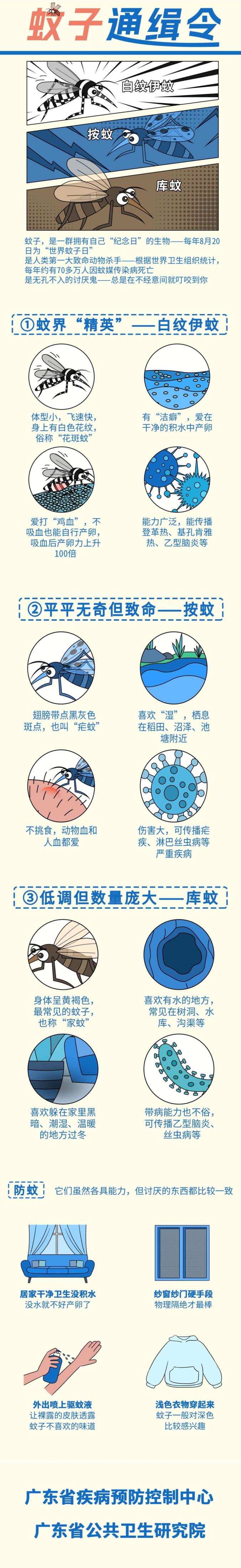 蚊子最害怕什么?教你4个防蚊妙招,很实用
