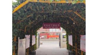 【頂端新聞】走進古城莎車：葡萄架下解紛爭