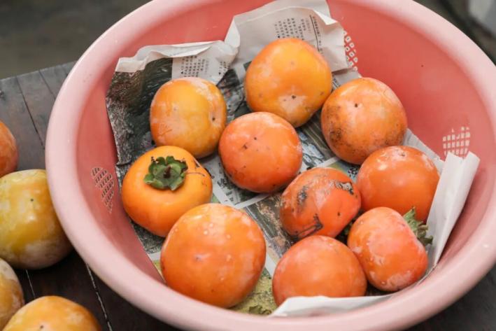 怎么晒柿子片最简单最好吃 495.jpg