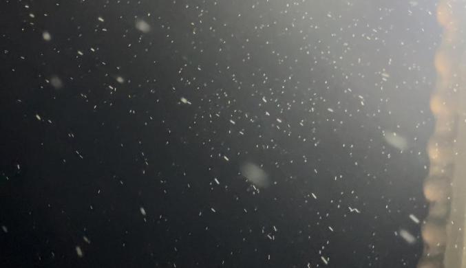 刚刚,泰山飘雪?准确来说是下霰(xiàn)了!_澎湃号·媒体_澎湃新闻-The Paper