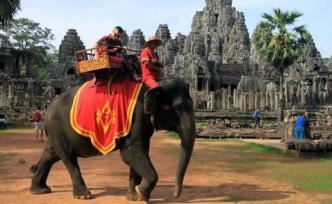 2020年起，吴哥窟禁止骑大象